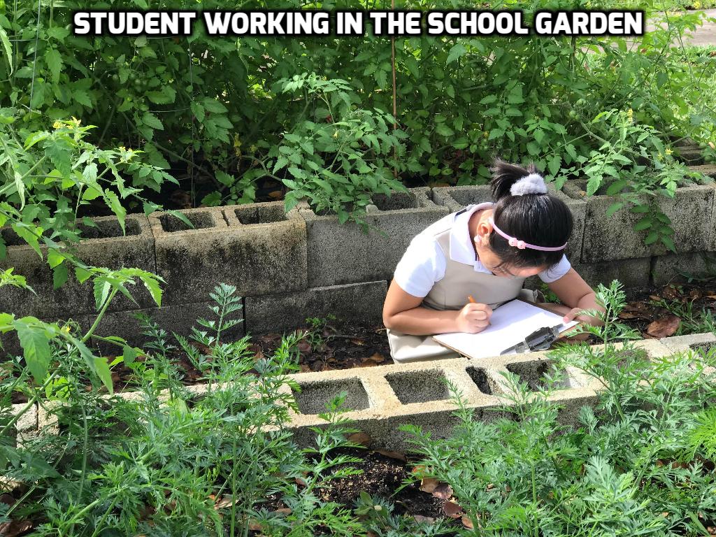 Student working in Griffin Elementary School garden